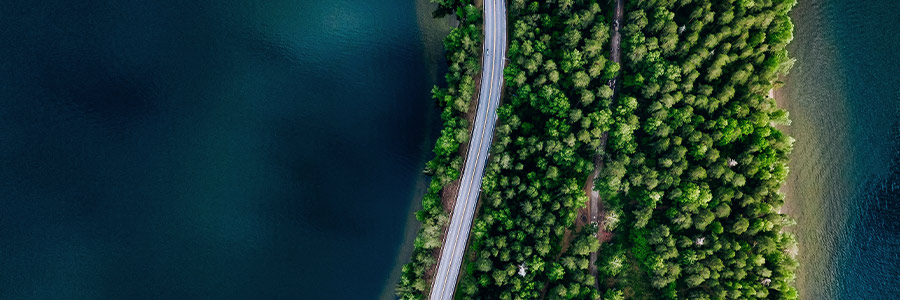 Aerial shot of a curving road dividing a body of water on the left and a dense forest on the right.