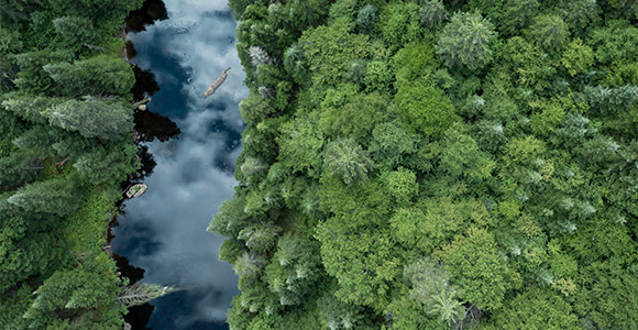 Vue aérienne d’une rivière qui coule dans une forêt.