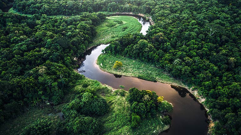 Aerial view of a river winding through a dense forest.