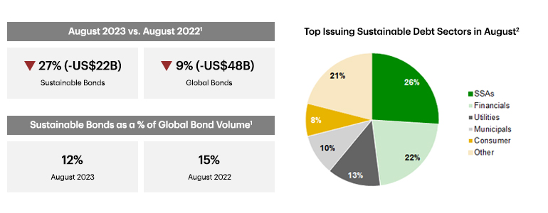 Pie chart showing top issuing sustainable debt sectors in August 2023