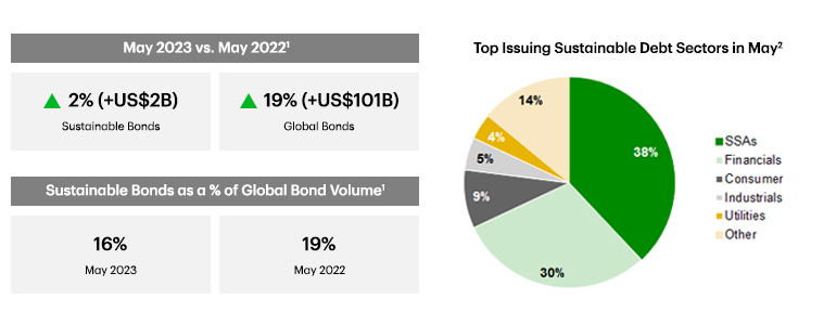 Pie chart showing top issuing sustainable debt sectors in May 2023