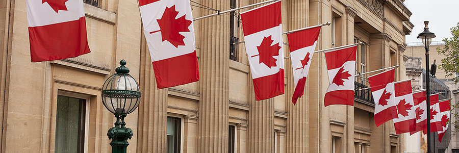 Row of Canadian flags hanging on the exterior of an office building.
