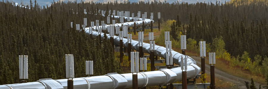 Pipeline winding through forested landscape with vertical anti-vibration mounts.