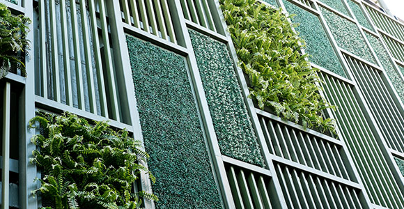Image of a green wall with plants growing