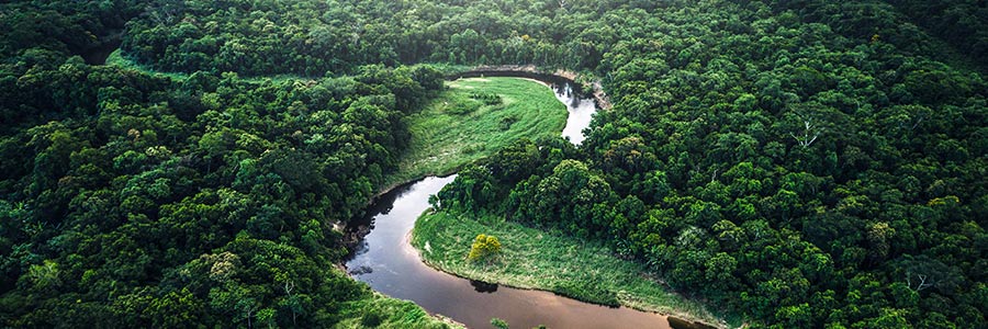 A winding river flows through a dense forest