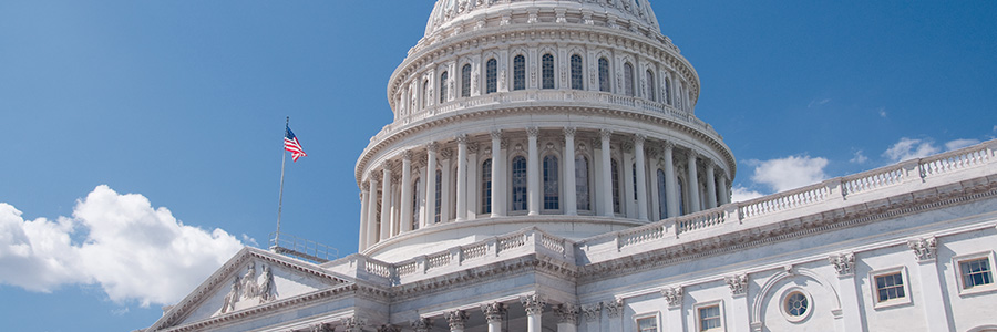 Capitol Building in Washington D.C.