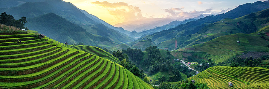 Une vallée avec des cultures agricoles en terrasse