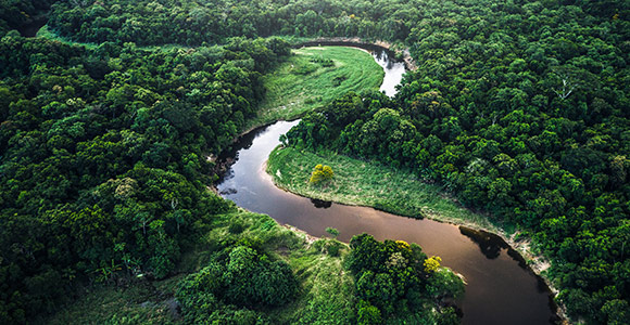 An image of a forest with a spiraling water path 