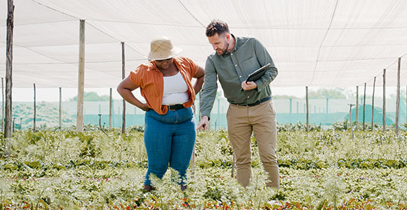 Two people look down at crops growing in a field.