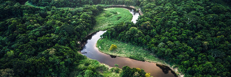 Aerial view of a river winding through a dense forest