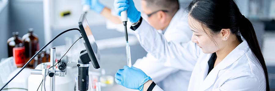 Two scientists in lab coats and blue gloves using pipettes to transfer liquid samples in a laboratory setting with various scientific equipment on the bench.
