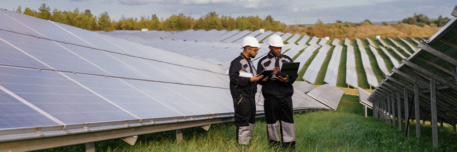 Two workers inspect solar panels using a laptop.