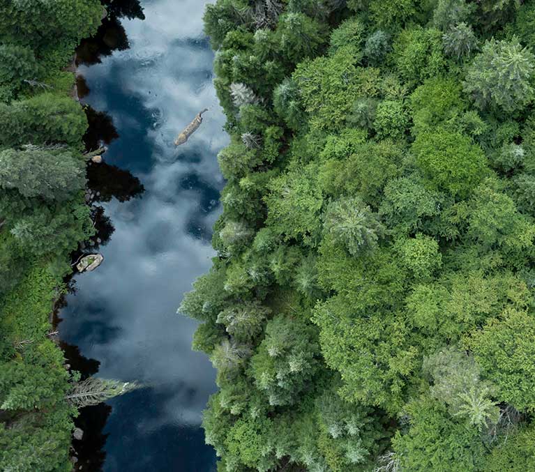 Vue aérienne d’une rivière qui coule dans une forêt.