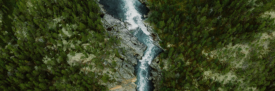 A river winding through a dense forest.