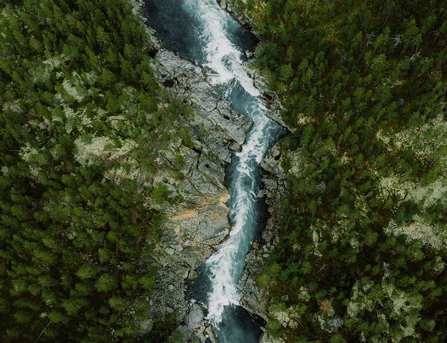 A river winding through a dense forest.
