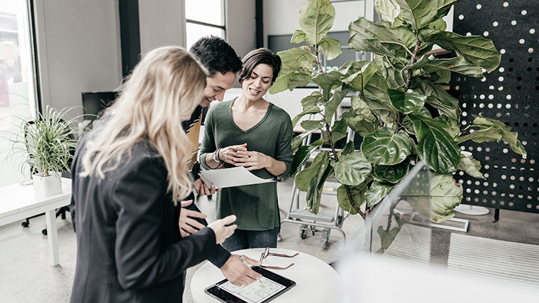 Un groupe de professionnels passe en revue des documents dans une salle de conférence décorée de grandes plantes.