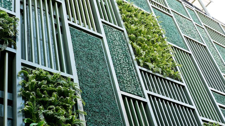 Image of a green wall with plants growing