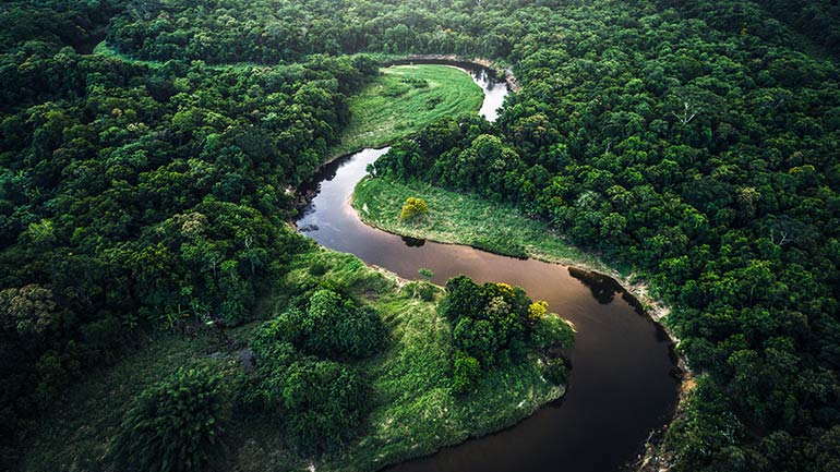 A winding river flows through a dense forest