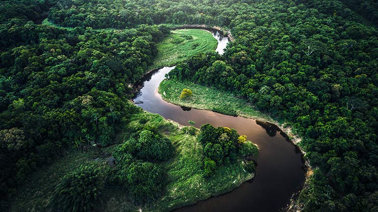 Un cours d’eau sinueux traversant une forêt dense