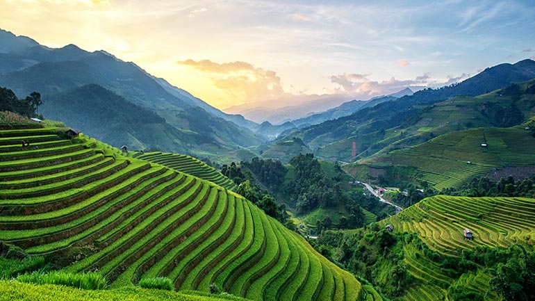 A valley with terrace cultivation farming