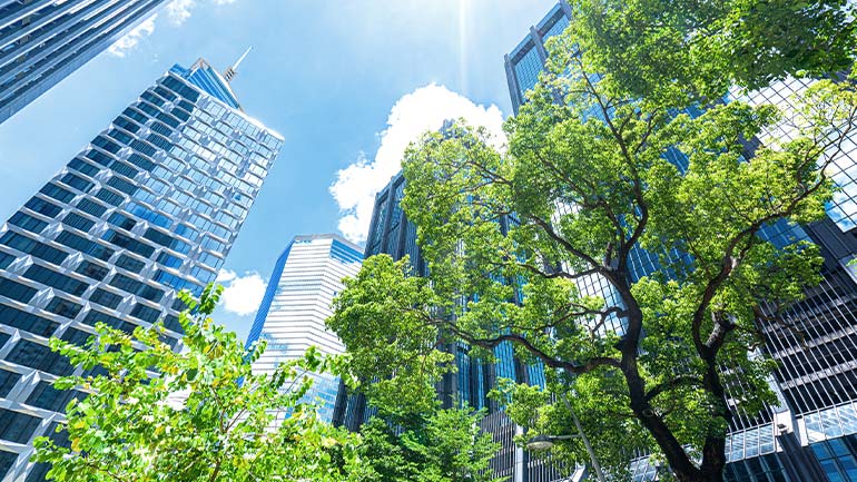 Looking upwards through trees to tall office buildings