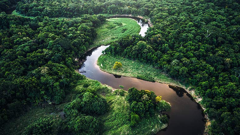 Image d'une forêt avec un cours d'eau en spirale