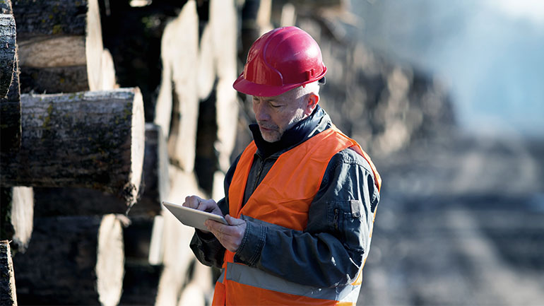 Image d’un homme qui regarde une tablette alors qu’il se tient à côté de bois d’œuvre