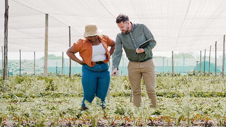 Two people look down at a crops growing in a field.