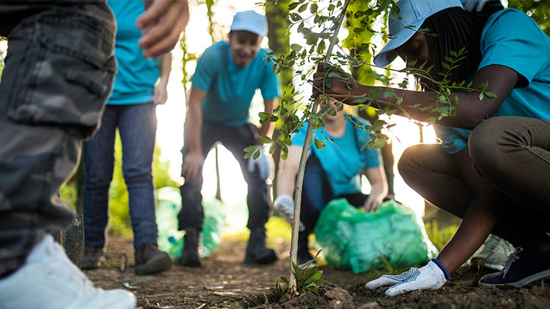 Un groupe de personnes plante un arbre.