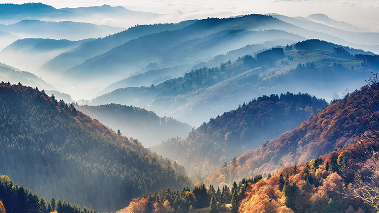 Landscape image of a mountainous forest