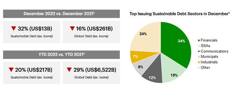 Data dashboard showing year-over-year debt and top sustainable debt issuing sectors.
