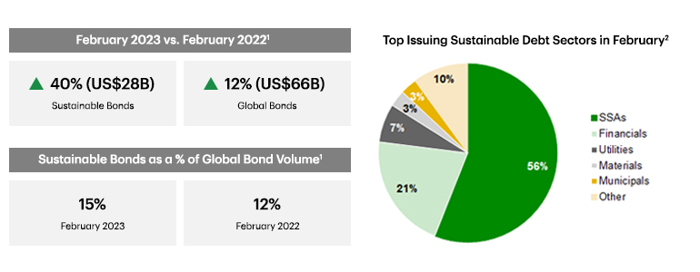 Pie chart showing top issuing sustainable debt sectors in February with SSAs and Financials as the largest segments.