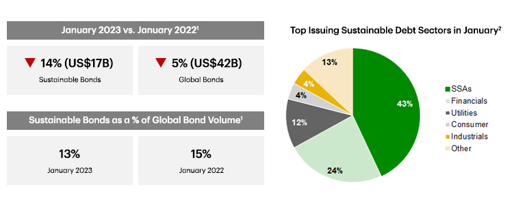Pie chart showing top issuing sustainable debt sectors in January with SSAs and Financials as the largest segments
