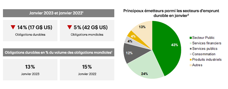 Pie chart showing top issuing sustainable debt sectors in January with SSAs and Financials as the largest segments