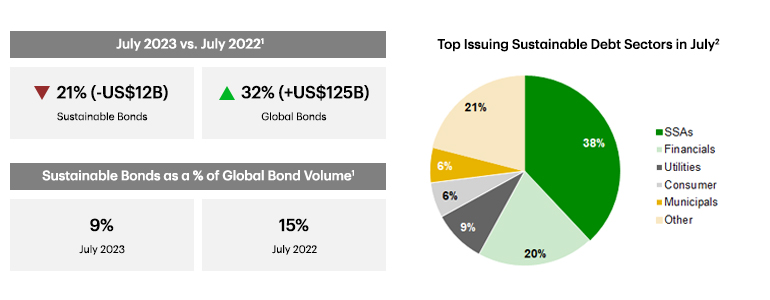 Pie chart showing top issuing sustainable debt sectors in July 2023