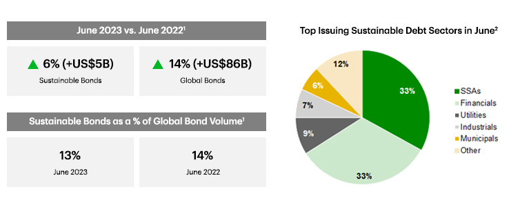 Pie chart showing top issuing sustainable debt sectors in June 2023
