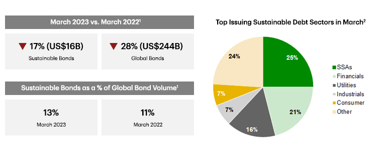 Pie chart showing top issuing sustainable debt sectors in March 2023